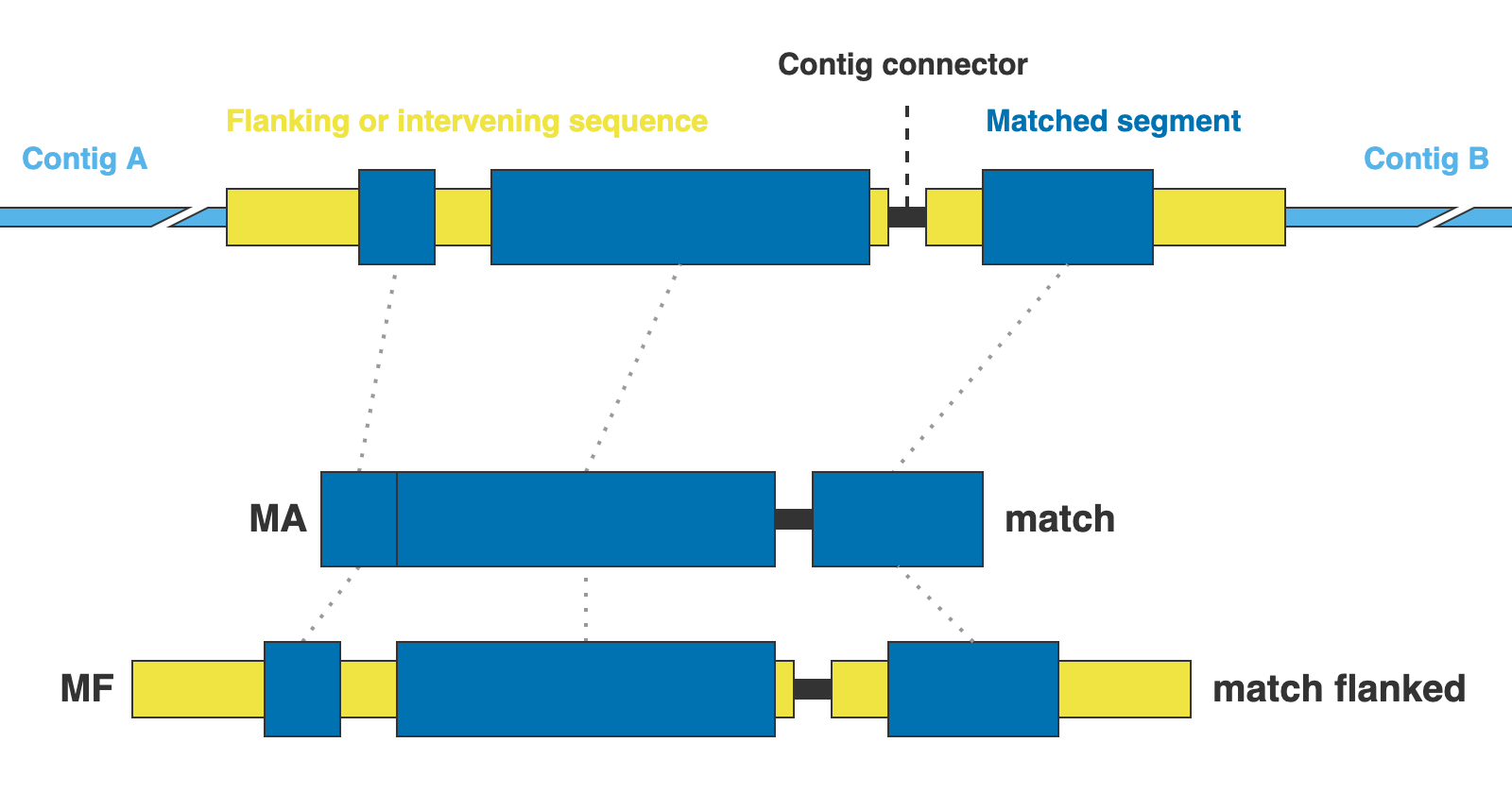 Format s for miscellaneous DNA markers