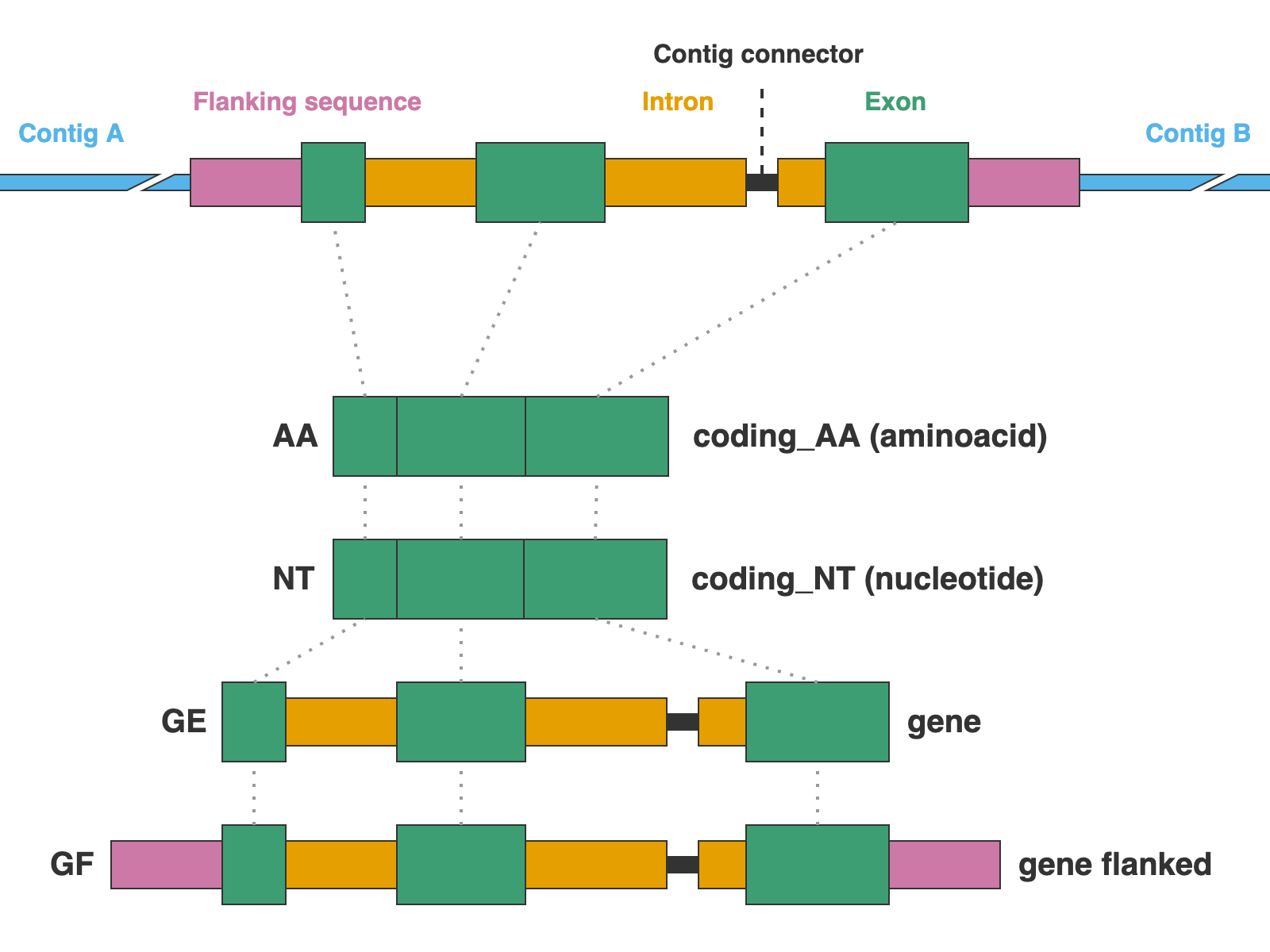 Formats for protein markers